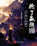 机战:全金属风暴