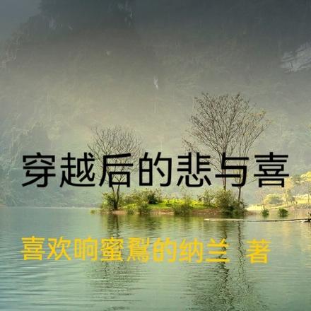 穿越后的悲与喜