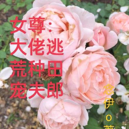 女尊:大佬逃荒种田宠夫郎