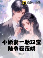 小娇妻一胎双宝,陆爷夜夜哄!