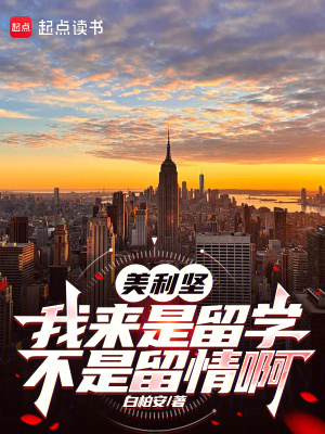 留学美利坚 小说